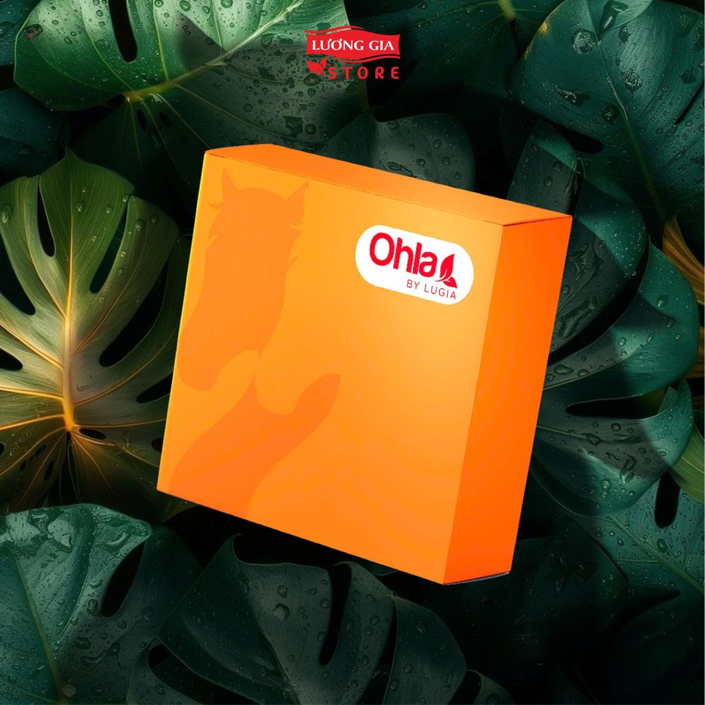 Set Quà Tết Ohla – Mã Đáo Khởi Sắc | Quà Tết Doanh Nghiệp Cao Cấp 2026