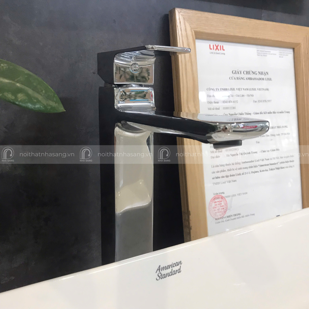 WF-1302 Vòi chậu cổ cao Acacia E