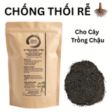  Sa Thạch Nhiệt Luyện Áo Nha Đam URBAN BREATH - Rải Mặt Chậu Chống Thối Rễ (Túi 2L) 