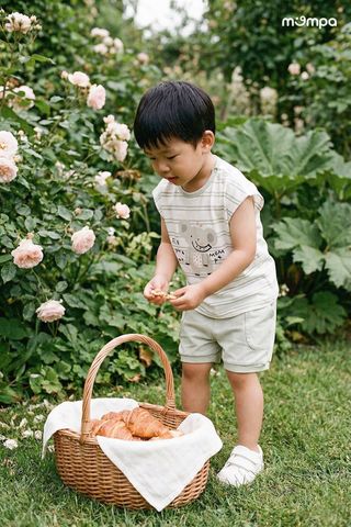 Bộ Cộc Tay Bamboo Cho Bé – Mềm Mịn, Thoáng Mát, Thấm Hút Tốt