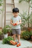 Bộ Cộc Tay Bamboo Cho Bé Mềm Mát – Đồ Trẻ Em Cao Cấp