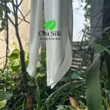  Bộ đồ lụa tơ tằm quần dài cánh sen và áo yếm màu trắng 