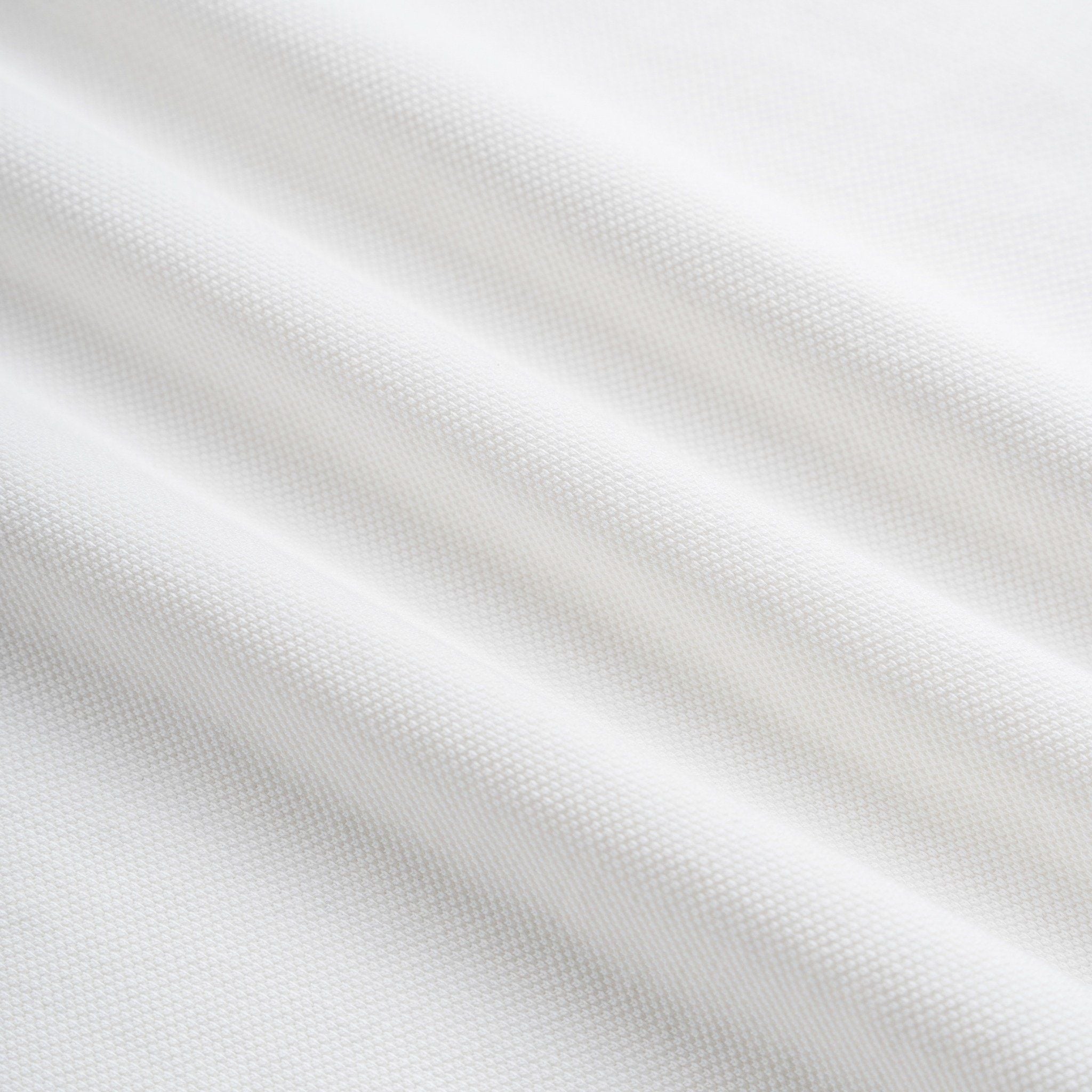 Áo Thun Polo By Cotton Phối Vai In B