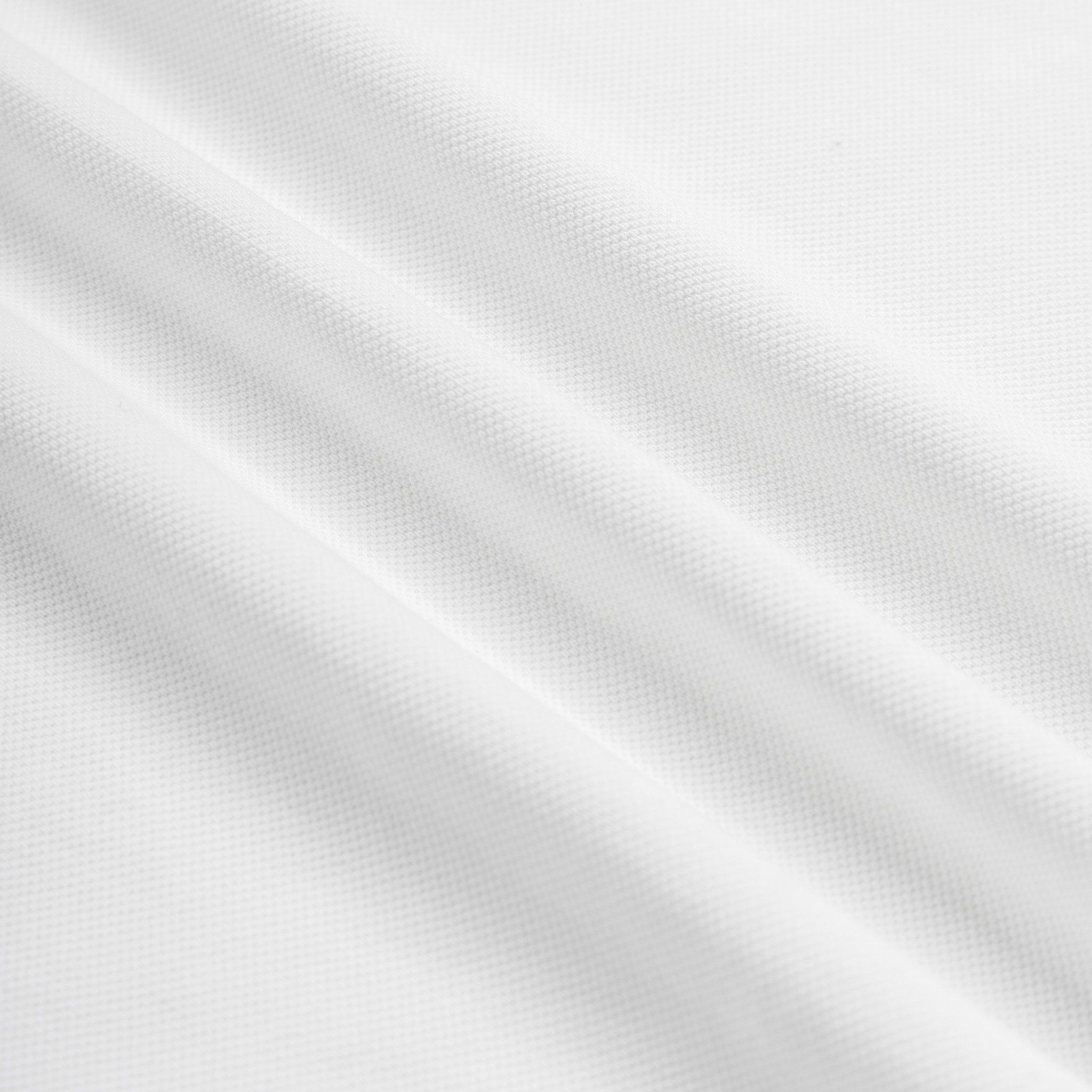 Áo Thun Polo By Cotton Raglan Thêu Fox Phối Bo