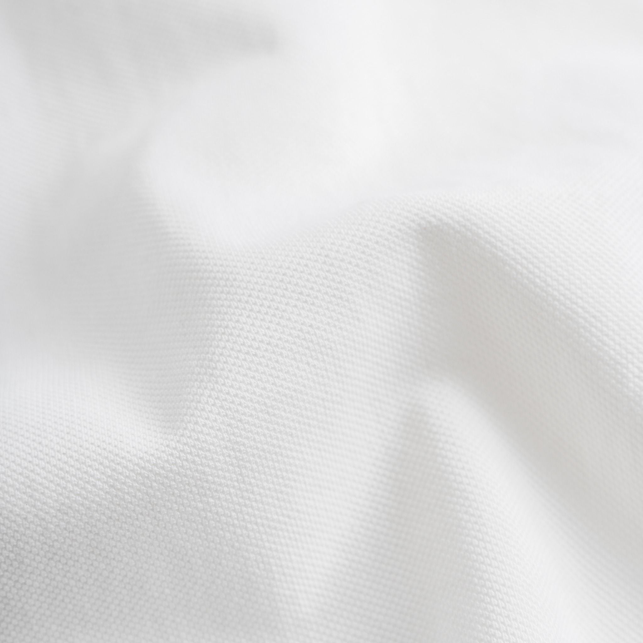 Áo Thun Polo By Cotton Raglan In Logo