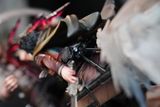  Levi Ackerman VS Reiner Braun - Attack on Titan - Sure Studio 