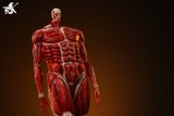 Colossal Titan - Attack on Titan - Wu Shi Mo Wan Studio 