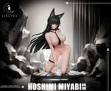  Hoshimi Miyabi - Zenless Zone Zero - LingYue Studio 