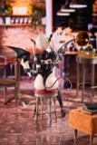  Succubus Maid Mocha - UMIKAWA 
