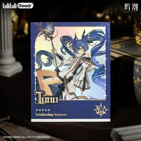  Bộ ảnh Polaroid chủ đề Diadem’s Downfall - Wuthering Wave × bilibili 