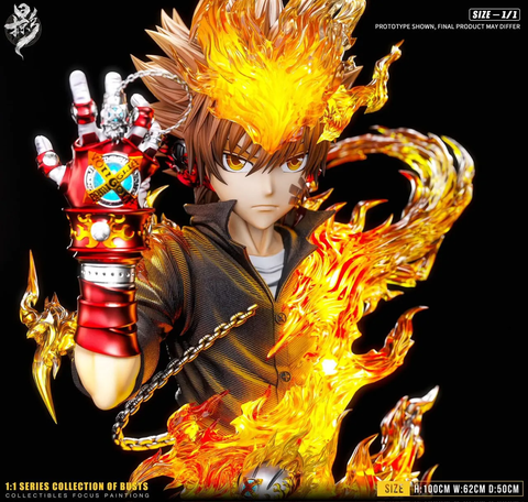  Sawada Tsunayoshi - Hitman Reborn - LueYing Studio 