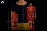  Colossal Titan - Attack on Titan - Wu Shi Mo Wan Studio 