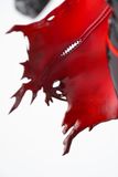  Scarlet: Black Shadow - Goddess of Victory: Nikke - GNFTOYZ & HobbySakura 