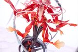  Inori Yuzuriha -You're the world to me - Guilty Crown - Solarain 