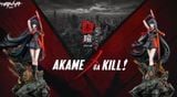  Akame - Akame ga Kill - Manta Studio 