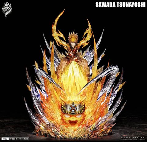  Sawada Tsunayoshi - Hitman Reborn - Lue Ying Studio 
