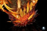  Sawada Tsunayoshi - Hitman Reborn! - ILL Studio 