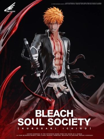  Ichigo Kurosaki - Bleach - Time Studio 