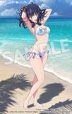  POP UP PARADE BEACH QUEENS Rikka Takarada - Gridman Universe - Wave 
