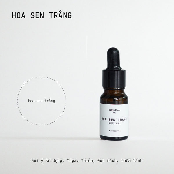  Tinh dầu nhỏ giọt Hoa Sen Trắng 10ml 