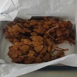  Hộp LUNA - Nho 500gr 