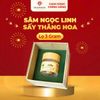  Sâm Ngọc Linh Sấy Thăng Hoa- Hộp 3gram 