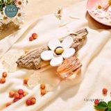  Nước Hoa Nữ Daisy Love Marc Jacorb 100ml 