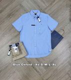  Sơ Mi Tommy Vải Oxford 