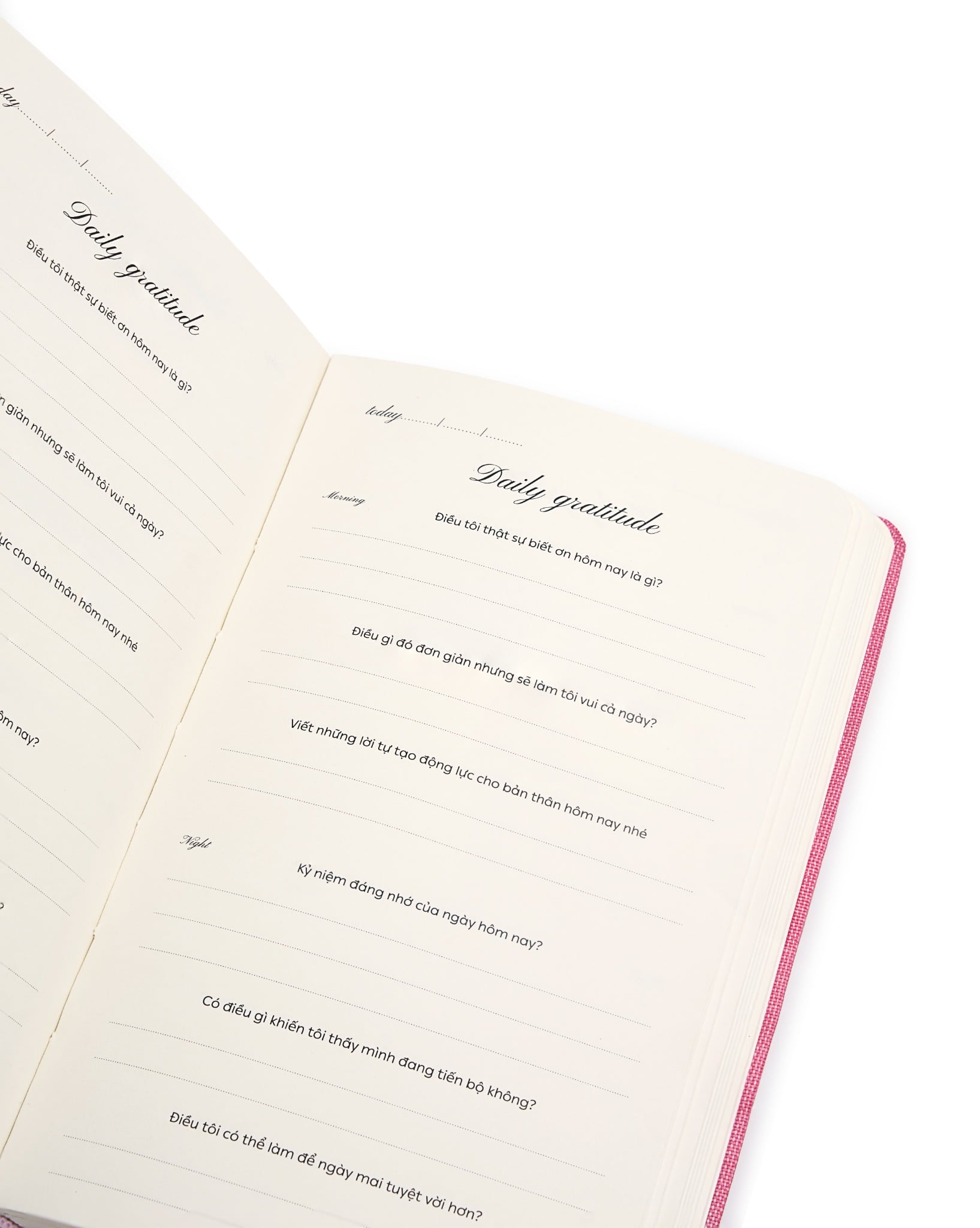  Combo Ocean Eyes + Vanilla 