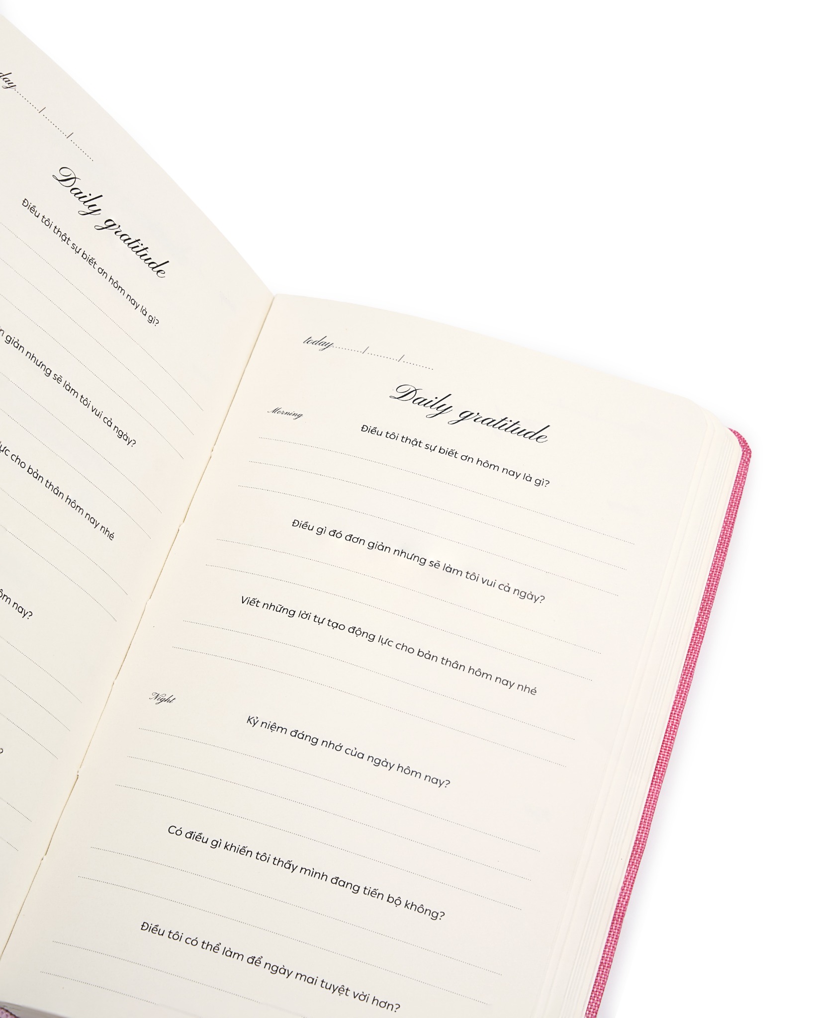  Combo Ocean Eyes + Rose 