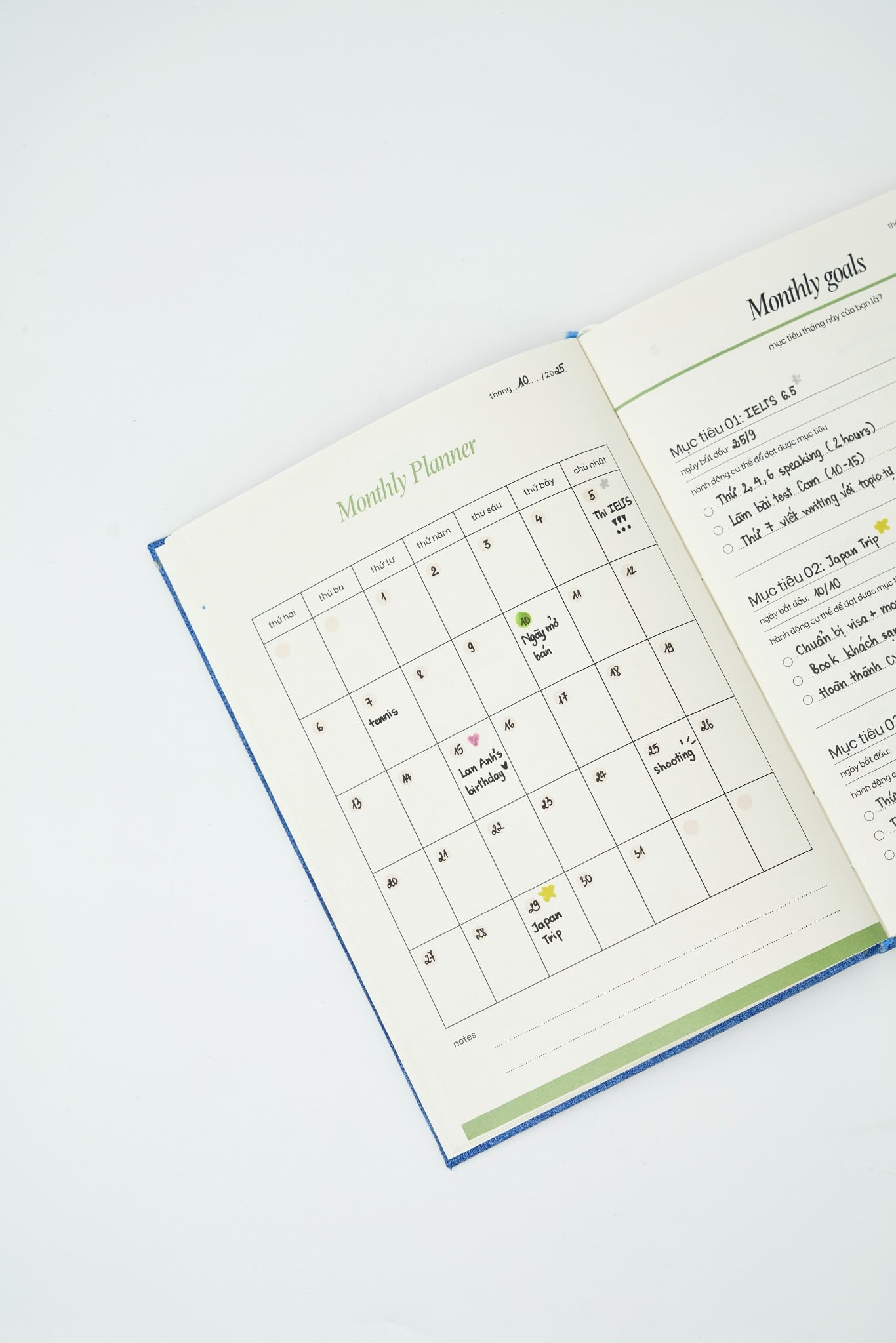  Combo Ocean Eyes + Rose 