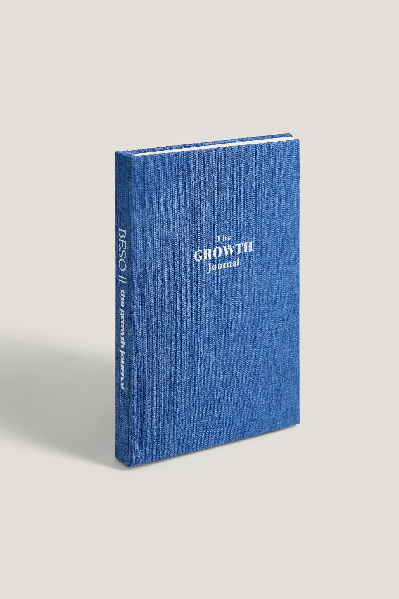  Combo Ocean Eyes + Rose 