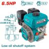 Động Cơ Xăng Total TGEN1682 6.5HP 4 Thì Trục 19.05mm