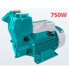 Máy bơm nước 750W Total TWP107506