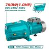 Máy bơm nước 750W Total TWP37506