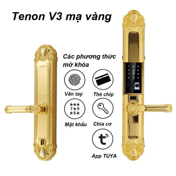  Khóa cửa vân tay Tenon V3 mạ vàng – Đẳng cấp tân cổ điển 