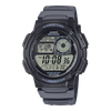 ĐỒNG HỒ CASIO AE-1000W-8AVDF