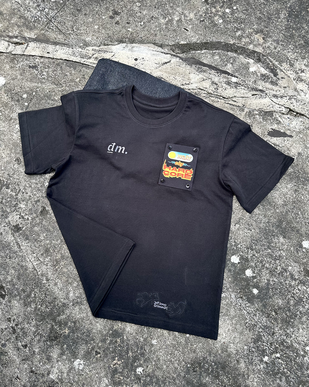  Tranh vải gắn áo 2 Chế độ 