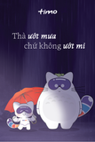  Postcard Hobby (10 tờ) 