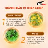  Thực phẩm chức năng hỗ trợ tiêu hóa Powergra Gut Guardian - Hộp 60 viên 
