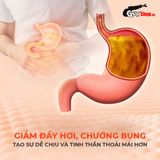  Thực phẩm chức năng hỗ trợ tiêu hóa Powergra Gut Guardian - Hộp 60 viên 