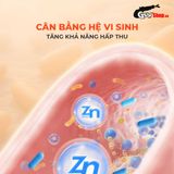  Thực phẩm chức năng hỗ trợ tiêu hóa Powergra Gut Guardian - Hộp 60 viên 