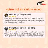  Bao cao su Shell Pulse Lasting Pleasure - Hương nước hoa cao cấp, kéo dài, gân nổi - Hộp 10 cái 