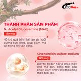  Viên uống hỗ trợ xương khớp Powergra Joint Shield - Hộp 60 viên 