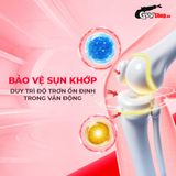  Viên uống hỗ trợ xương khớp Powergra Joint Shield - Hộp 60 viên 