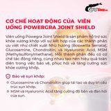  Viên uống hỗ trợ xương khớp Powergra Joint Shield - Hộp 60 viên 