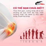  Viên uống hỗ trợ xương khớp Powergra Joint Shield - Hộp 60 viên 