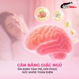  Viên uống cải thiện tình trạng mất ngủ Powergra Gentle Dreams - Hộp 60 viên 