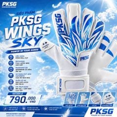 Găng Tay Thủ Môn PKSG Wings Sky