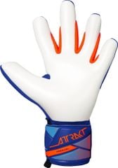 Găng Tay Thủ Môn Reusch Attrakt Freegel Advance GK26 | 5670235-4129